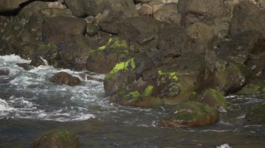 Madeira, Portekiz - 2023.04.04 - 09: Dalgaların mükemmelliğiyle tanınan Praia da Maiata Sahili 'ni vuran güzel dalgalar. Madeira 'nın kuzeydoğu kıyısında sörfçülerin en sevdiği yerlerden biridir.