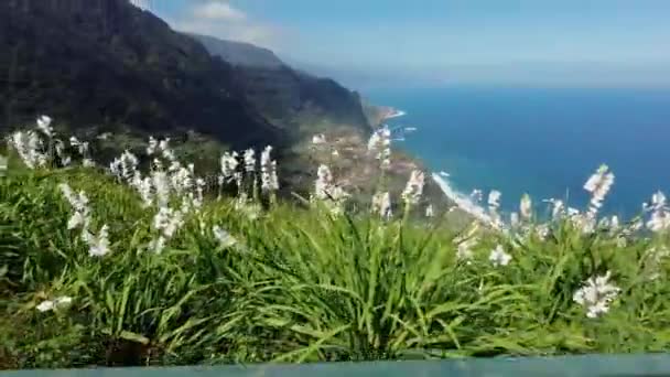 Madeira Portekiz 2023 Güneşli Bir Günde Kuzeydoğu Kıyısındaki Miradouro Beira — Stok video