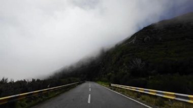 Madeira, Portekiz - 2023.04.04 - 09: Güneşli bir günde Madeira adasındaki bir tepe yolundan geçmek