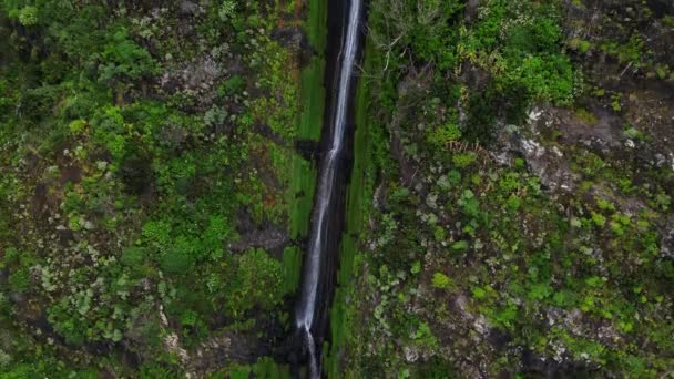 Madeira Portugal 2023 Filmagem Aérea Cachoeira Água Alto Está Localizada — Vídeo de Stock