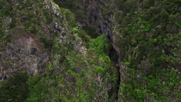 Madeira Portekiz 2023 Agua Alto Şelalesinin Hava Görüntüleri Faial Yer — Stok video