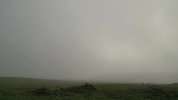 マデイラ ポルトガル 2023 晴れた曇りの霧の天気のファナルの森の素晴らしい空中ドローンビデオ映像 — ストック動画