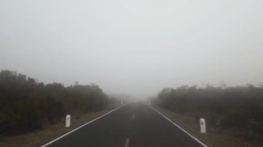 Madeira, Portekiz - 2023.04.04 - 09: Güneşli bir günde Madeira adasındaki bir tepe yolundan geçmek