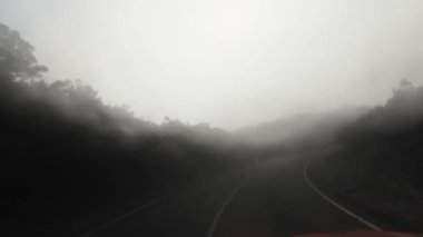 Madeira, Portekiz - 2023.04.04 - 09: Güneşli bir günde Madeira adasındaki bir tepe yolundan geçmek