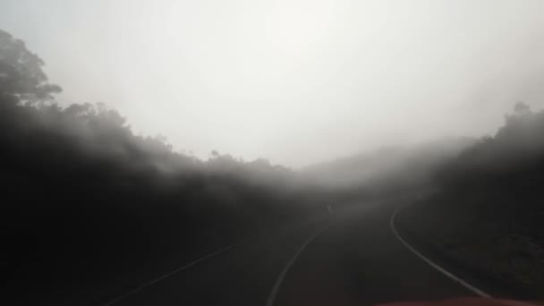 Madeira Portugal 2023 Fahrt Durch Eine Hügelstraße Auf Madeira Sonnigen — Stockvideo