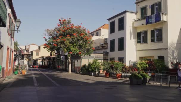 Madeira Portugal 2023 Imágenes Catedral Funchal Mañana Soleada Sin Gente — Vídeos de Stock