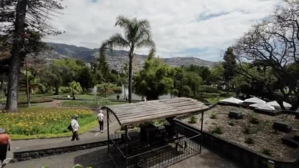 Madeira Portugalia 2023 Plimbare Prin Frumosul Parc Santa Catarina — Videoclip de stoc