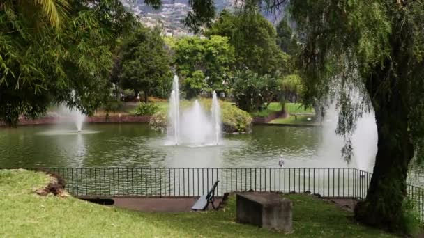 Madeira Portugal 2023 Berjalan Melalui Taman Santa Catarina Yang Indah — Stok Video