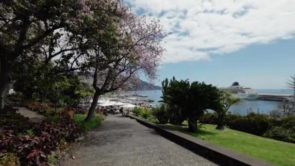 Madeira Portugal 2023 Wandelen Door Het Prachtige Santa Catarina Park — Stockvideo