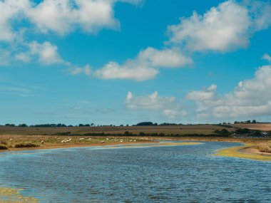 Seaford - Eastbourne - İngiltere - 2024.08.25: Altın tarlalar, dolambaçlı nehirler ve kabarık bulutlu uçsuz bucaksız mavi gökyüzü içeren sakin bir manzara.