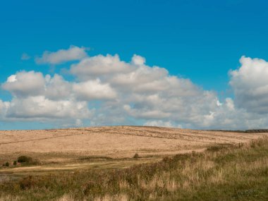 Seaford - Eastbourne - İngiltere - 2024.08.25: Altın tarlalar, dolambaçlı nehirler ve kabarık bulutlu uçsuz bucaksız mavi gökyüzü içeren sakin bir manzara.