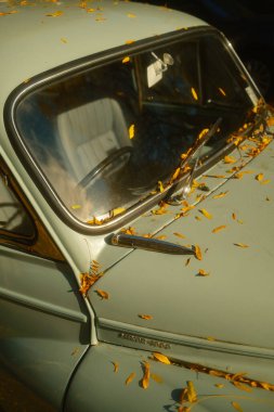 Yolun kenarına park edilmiş eski model araba güneşli bir günde sonbahar yapraklarıyla kaplı.