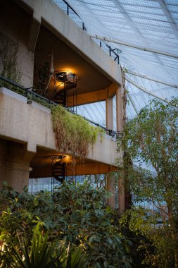 Barbican Konservatuarı 'nın manzarası cam çatılı, yapraklı sığınak tropikal bitkiler ve ağaçlar, kuş yaşamı ve egzotik balıklar içerir.