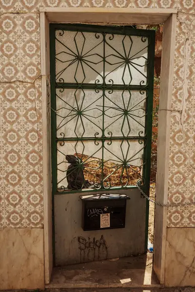 Algarve, Portekiz 2025.06.28 Pembe tişörtlü yaşlı bir adam Algarves 'in göbeğindeki mozaik kaplı bir alışveriş sokağının gölgesinde oturuyor.             