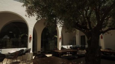 Algarve, Portekiz 2025.07.01 konforlu açık hava oturma alanı, güneşli bir günde Akdeniz tarzı bir binanın beyaz kemerlerine karşı hazırlanan zeytin ağacının altında..