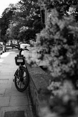 Chiswick, London  2025.04.28  Black and white photo of a public rental bicycle parked on a quiet residential street beside a brick wall covered with spring blossoms. 