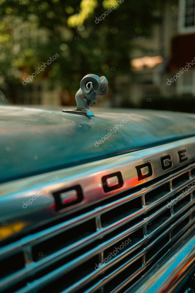 Chiswick, London  2025.04.28  Close-up of a vintage Dodge truck hood ornament featuring a ram figure above the chrome grille, captured under warm sunlight on a residential street.