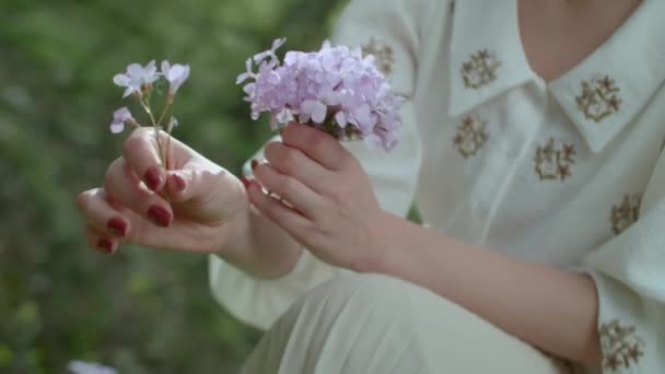 女人采摘美丽的紫色花朵 浪漫的概念 女人们在森林里进行休闲活动 野餐和采摘野花 — 图库视频影像
