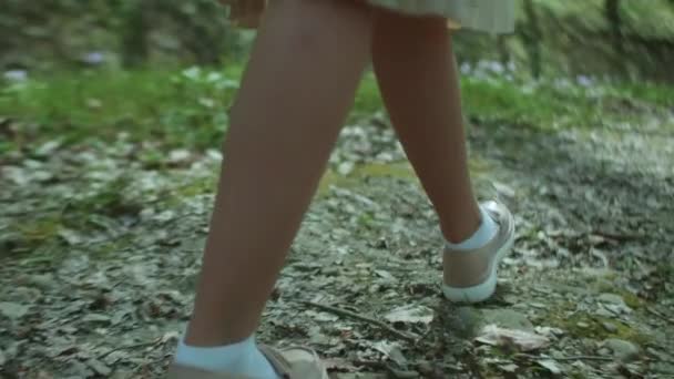 Tiefer Blickwinkel Nahaufnahme Von Frauenfüßen Loafern Die Einen Pfad Wald — Stockvideo