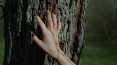 Kadınların elleri gövdeye hafifçe dokunuyor, ormansızlaşmadan korunuyor. Çevresel, ağaçlardan ve meşeden gelen enerji