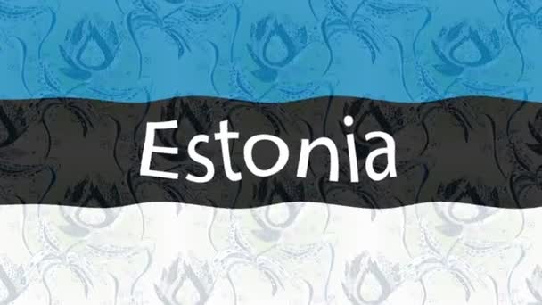 화면에 있습니다 에스토니아의 — 비디오