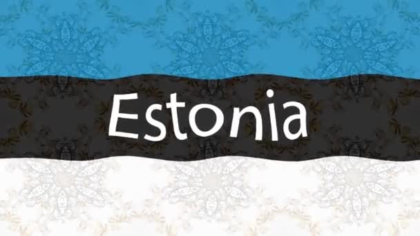 Bewegtbildhintergrund Mit Bunter Flagge Die Flagge Von Estland — Stockvideo