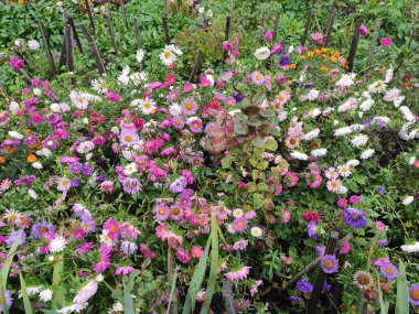 Ekran koruyucu. Doğa. Sonbahar. Yeşil çimenler. Şirin. Parlak. Memnun oldum. Doymuş. Güzelmiş. Neşe. Yaz. Geçmişi. Çok güzel. Bahar. Tarafsız, yeşil ve gri renkler üzerine fotoğraf.