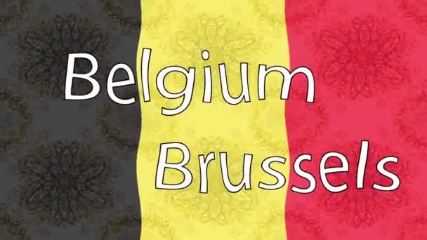 Bewegingsbeelden Achtergrond Met Kleurrijke Vlag Vlag Van België — Stockvideo