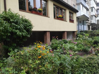 Flowerbed. Beautiful. Colorful flowers. Bright. Nature. Ukraine. Photo on neutral, gray and green colors. Cute. Ukrainian. Spring. Lviv. Autumn. 2022. Nice. Screensaver. Summer. Green grass.