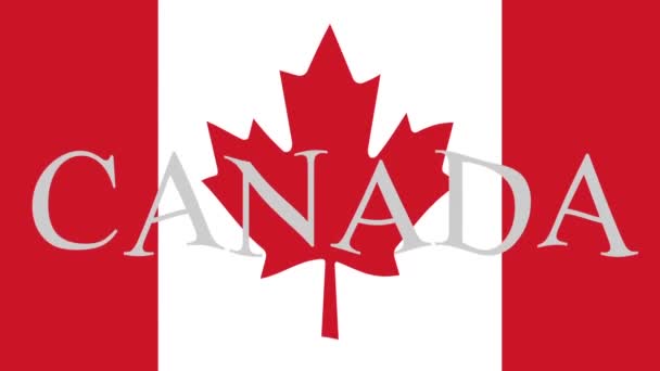 Renkli Bayraklı Hareketli Arka Plan Görüntüleri Kanada Bayrağı — Stok video