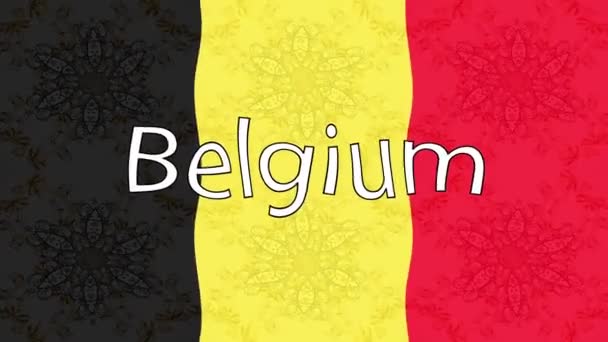Фон Съёмок Цветным Флагом Флаг Бельгии — стоковое видео