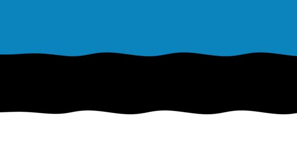 Rörelsematerial Bakgrund Med Färgglada Flagga Estlands Flagga — Stockvideo