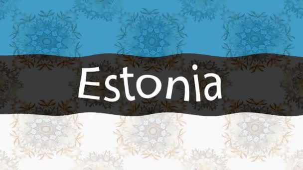 Fondo Imágenes Movimiento Con Bandera Colores Bandera Estonia — Vídeo de stock