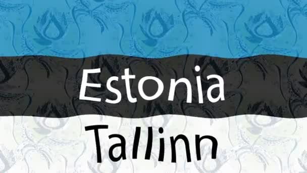 Pozadí Záznamu Pohybu Barevnou Vlajkou Estonská Vlajka — Stock video