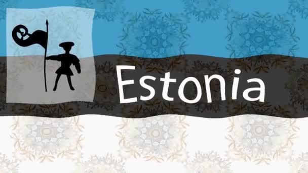 Motion Footage Background Colorful Flag Flag Estonia — Stock Video
