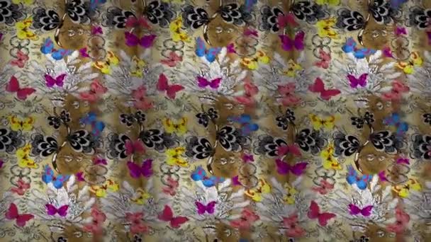 Fondo Imágenes Movimiento Con Elementos Colores Mariposas Silueta Dibujadas Mano — Vídeos de Stock
