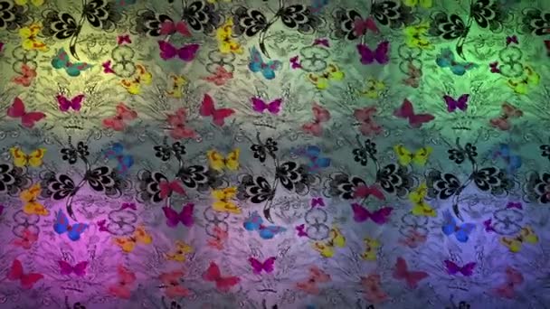 Fondo Imágenes Movimiento Con Elementos Colores Mariposas Silueta Dibujadas Mano — Vídeos de Stock