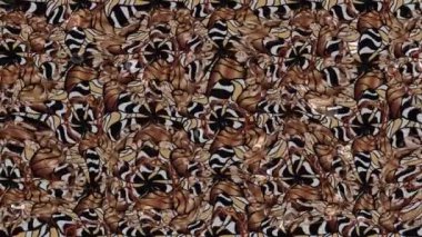 Renkli unsurlarla hareketli arka plan görüntüleri. Mandalas. Eski model. Video kaydı. Şablon. Döngü. Kusursuz..