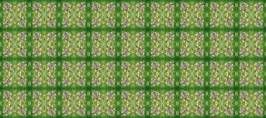 Geleneksel ve altın desenli. Damask pürüzsüz süsü. Klasik oryantal desen yeşil, bej ve nötr renkler üzerinde.