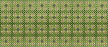 Altın element yeşil, kahverengi ve bej renklerde. Süslü raster dekorasyonu. Yeşil, kahverengi ve bej üzerine altın rengi klasik barok çiçeksiz desenler. Lüks, kraliyet ve Viktorya dönemi konsepti.