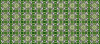 Barok tarzında altın çiçek süsü. Altın element yeşil, gri ve nötr renklerde. Damask arkaplanı tekerrür ediyor. Antika altın tekrarlanabilir duvar kağıdı.