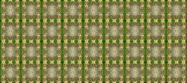 Kusursuz raster arka plan. Kusursuz çiçek deseni. Duvar kâğıdı barok, İspanyol kumaşı. Kahverengi, nötr ve yeşil renkler üzerinde grafiksel modern kusursuz desen.