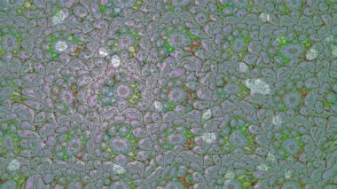 Renkli unsurlarla hareketli arka plan görüntüleri. Çiçekler. Eski model. Bayrak tarzı. Video kaydı. Şablon. Döngü. Kusursuz..