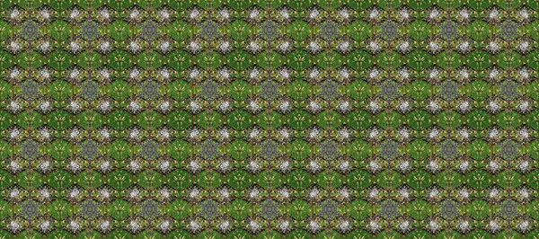 Doğulu stil, altın elementli gri, yeşil ve kahverengi renklerde altın desenli arabesk yapar. Raster altın desen. Kusursuz kıvırcık saçlar..