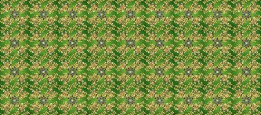 Lüks, kraliyet ve Viktorya dönemi konsepti. Süslü dekorasyon. Raster klasik barok çiçeksiz altın desenli. Altın desenli yeşil, gri ve kahverengi altın elementli.