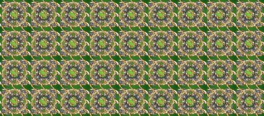 Raster illüstrasyonu. Yeşil, kahverengi ve altın elementli nötr renklerde altın pürüzsüz desen. Kusursuz damaske klasik altın desen. Tekrarlayan ögelerle soyut arkaplan Raster.