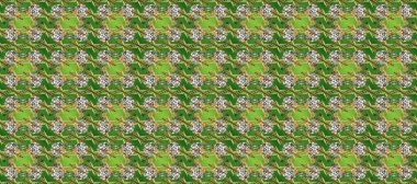 Kusursuz raster arka plan. Duvar kâğıdı barok, İspanyol kumaşı. Şık bir grafik desen. Tarafsız, yeşil ve gri renklerde altın elementler. Çiçek deseni.