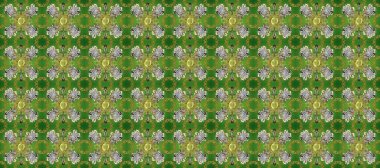 Yeşil, gri ve nötr renklerde Raster altın deseni. Soyut duvar kâğıdı, ambalaj dekorasyonu. Kışın sembolü, Mutlu Noeller, Mutlu yıllar. Altın kar taneleri basit, pürüzsüz desen.