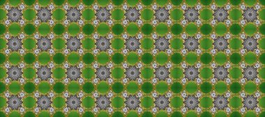 Gri, kahverengi ve yeşil renklerdeki altın desenli altın elementler. Süslü dekorasyon. Lüks, kraliyet ve Viktorya dönemi konsepti. Raster klasik barok çiçeksiz altın desenli..