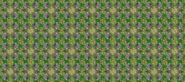 Kusursuz altın desenli bukleler. Parlak dantel, stilize çiçekler, şal desenli. Yeşilde pürüzsüz desen, altın elementli gri renkler. Raster. Hassas altın deseni açın. Doğulu arabeskler.